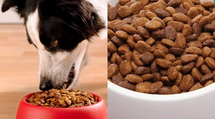Purina one vs Purina pro plan dog food comparison & difference